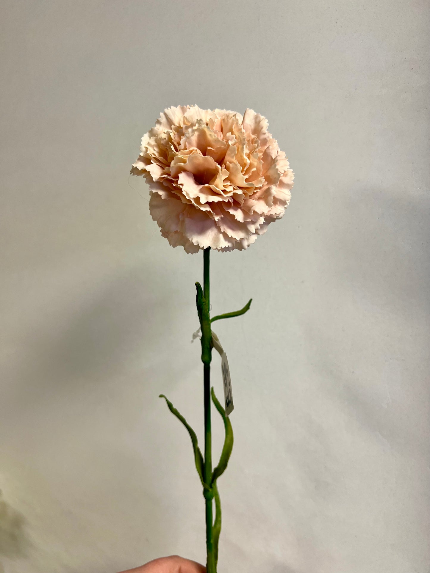 ZIJDEN | ANJER | LICHT | ROZE