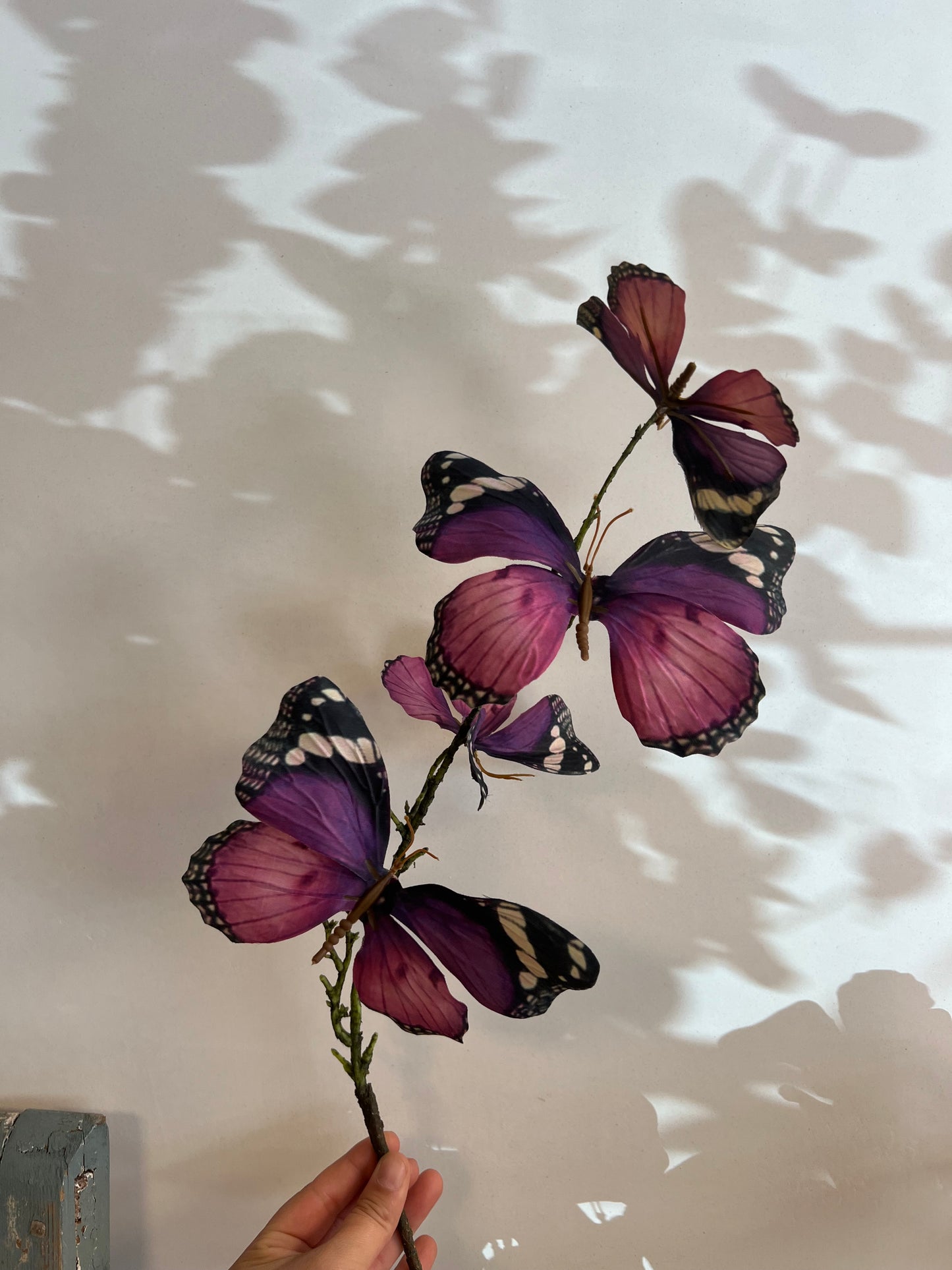 VLINDERTAK | 3 | KLEUREN