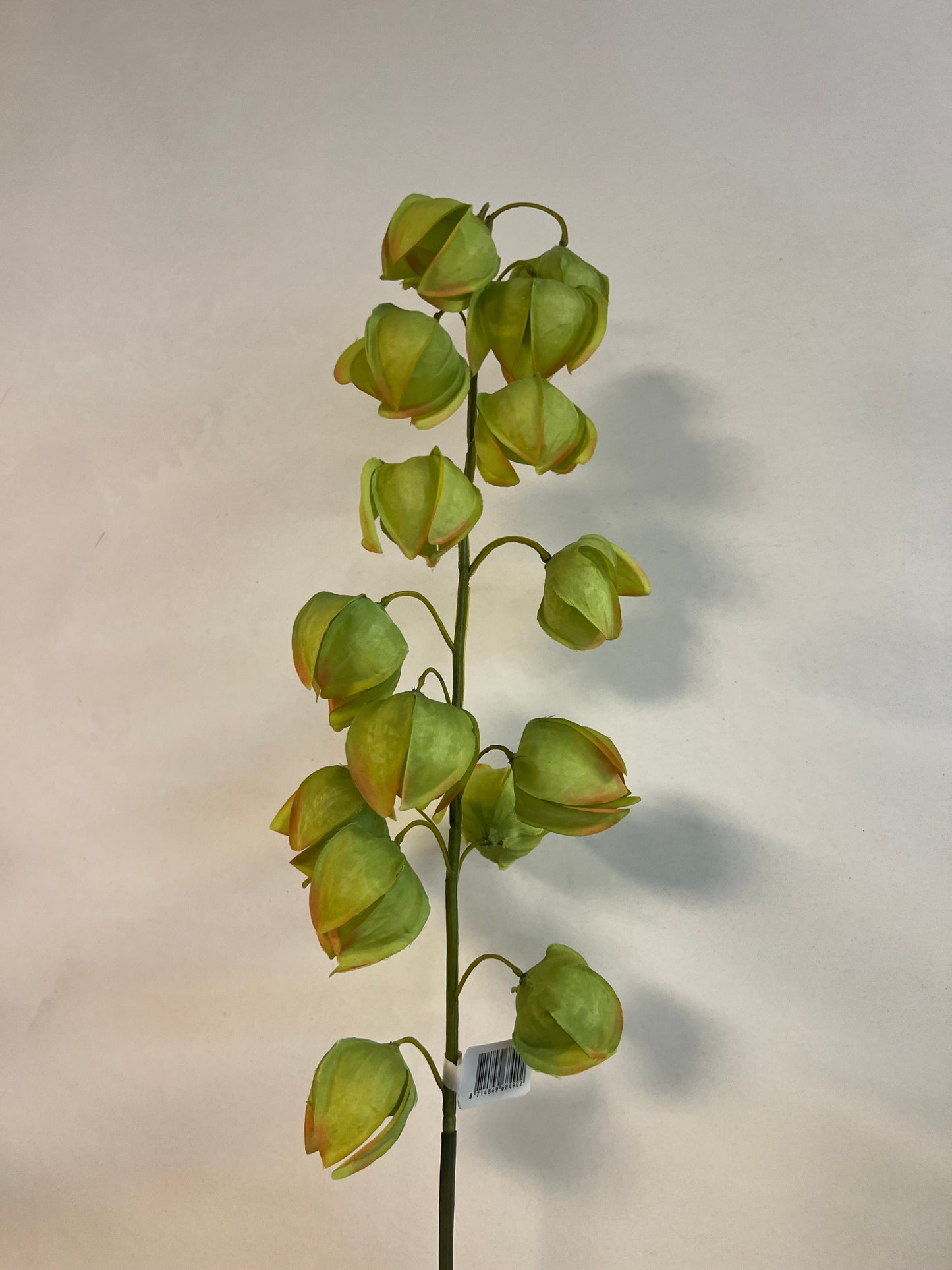 KUNST | PHYSALIS | LAMPIONS | GROEN