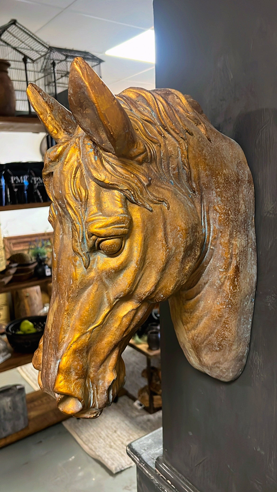 PAARDENHOOFD | GOUD | POLISTONE