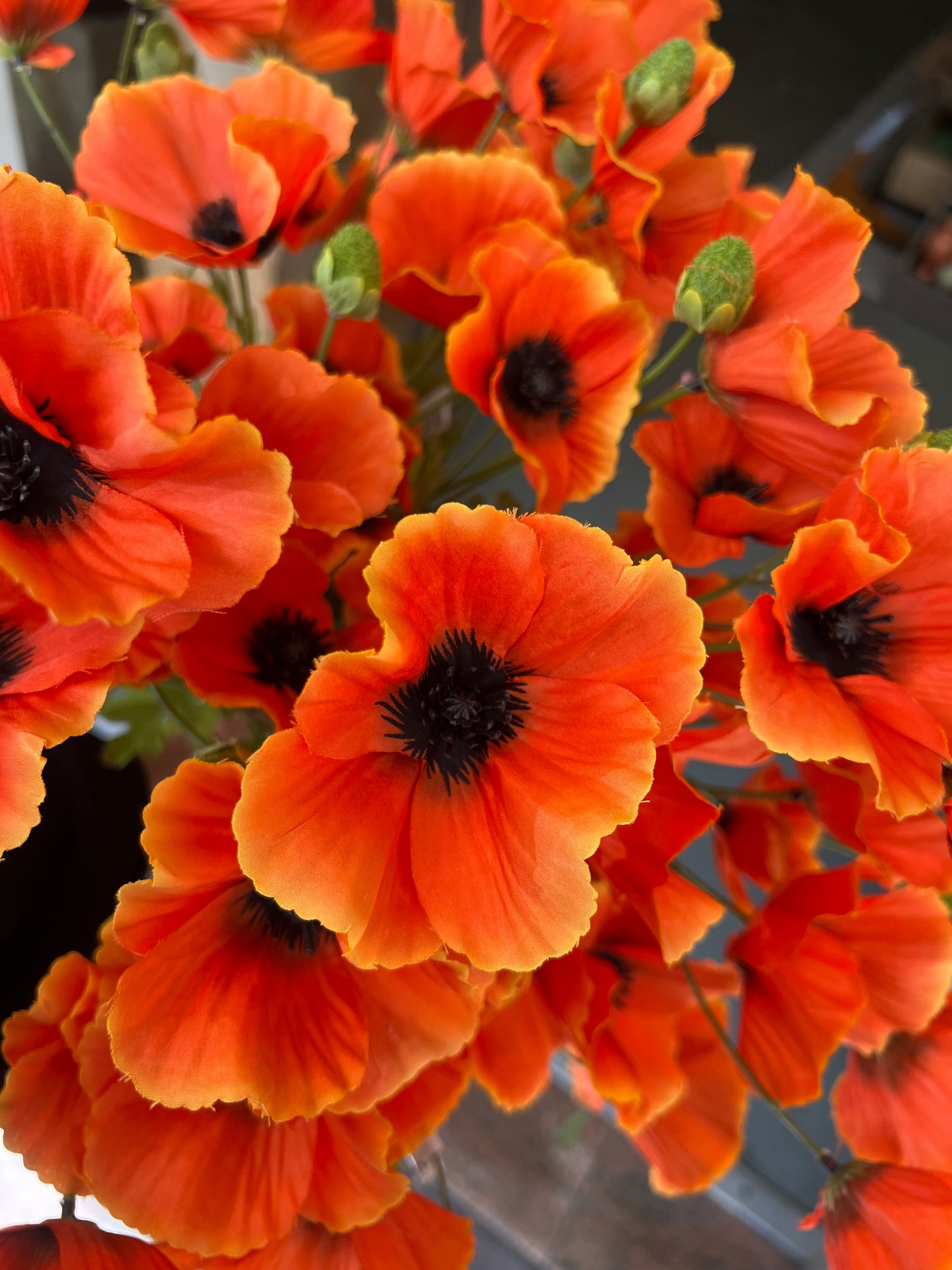 KLAPROOS | 3 | KLEUREN | ORANJE| ZIJDEN