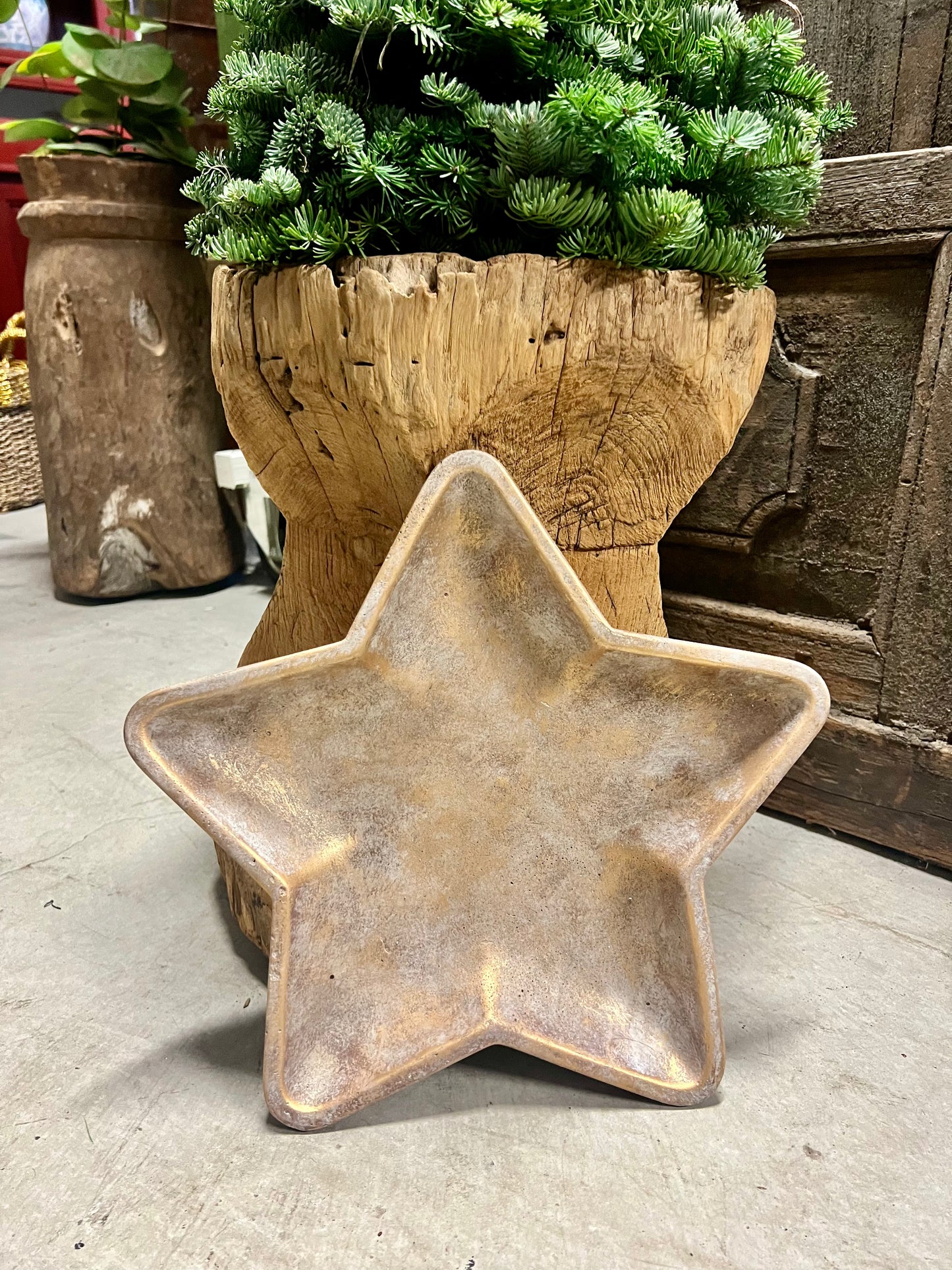 KERSTSTER | STER | GOUD | BORD