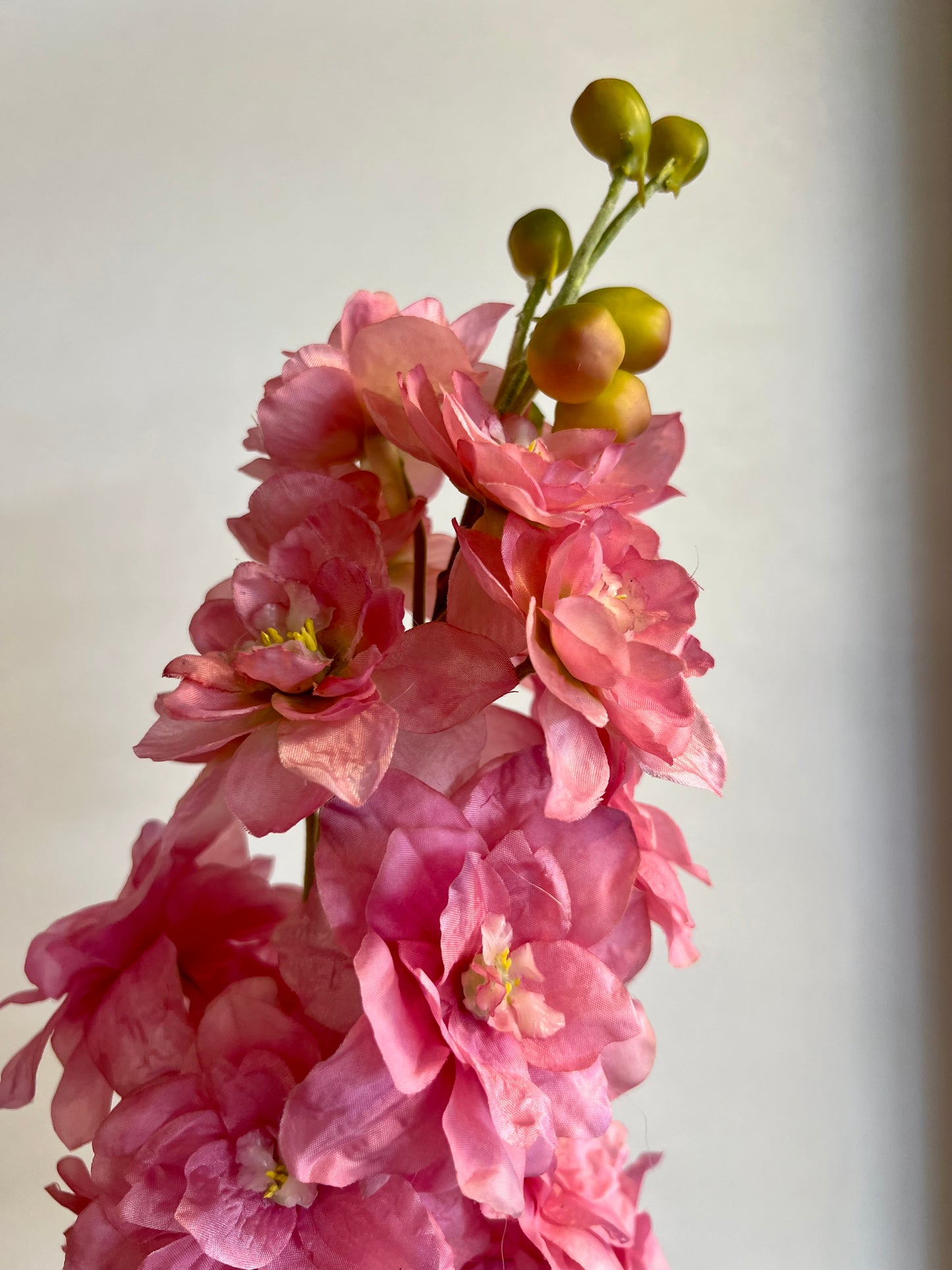 KUNST | DELPHINIUM | ROZE | RIDDERSPOOR