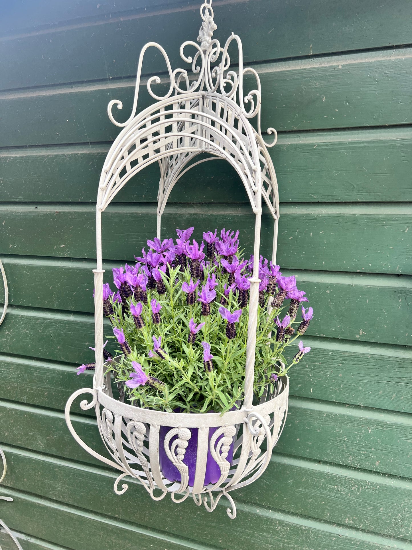 HANGING | BASKET | GROOT