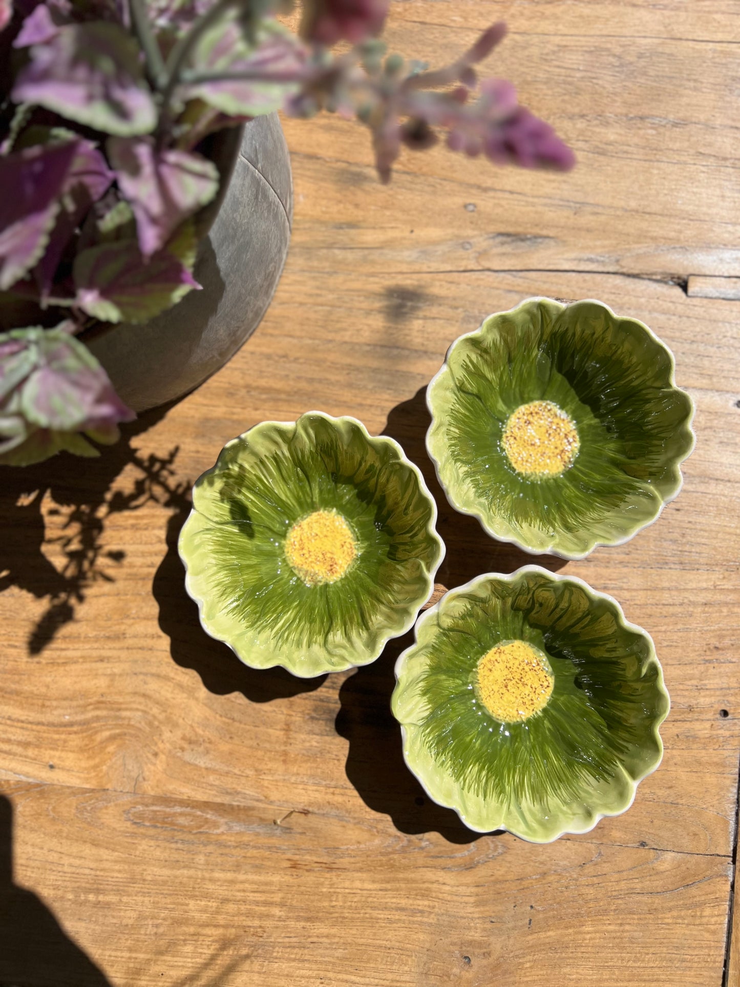 SCHAALTJE | GROEN | MET | GELE | KERN