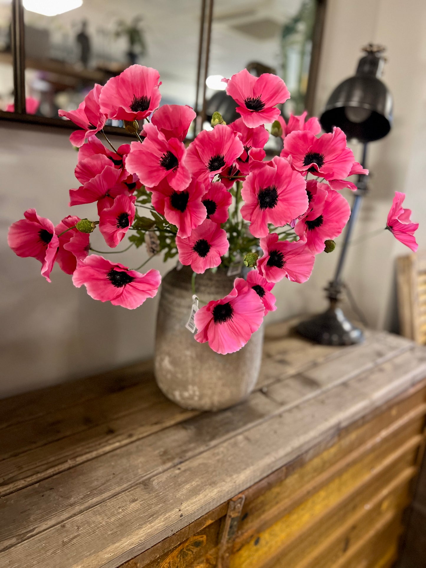 KLAPROOS | FUCCIA | ROZE