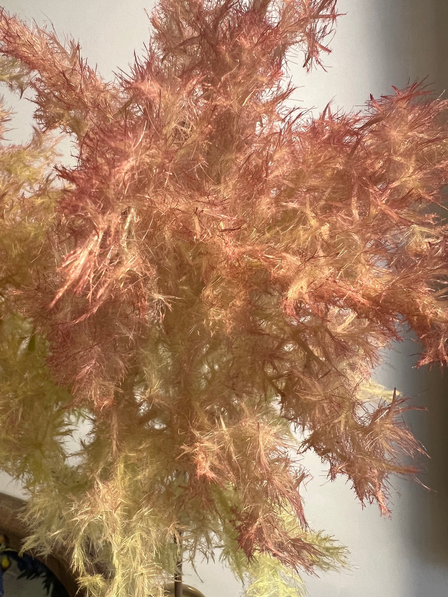 KUNST | WILDE | GRASSTEEL