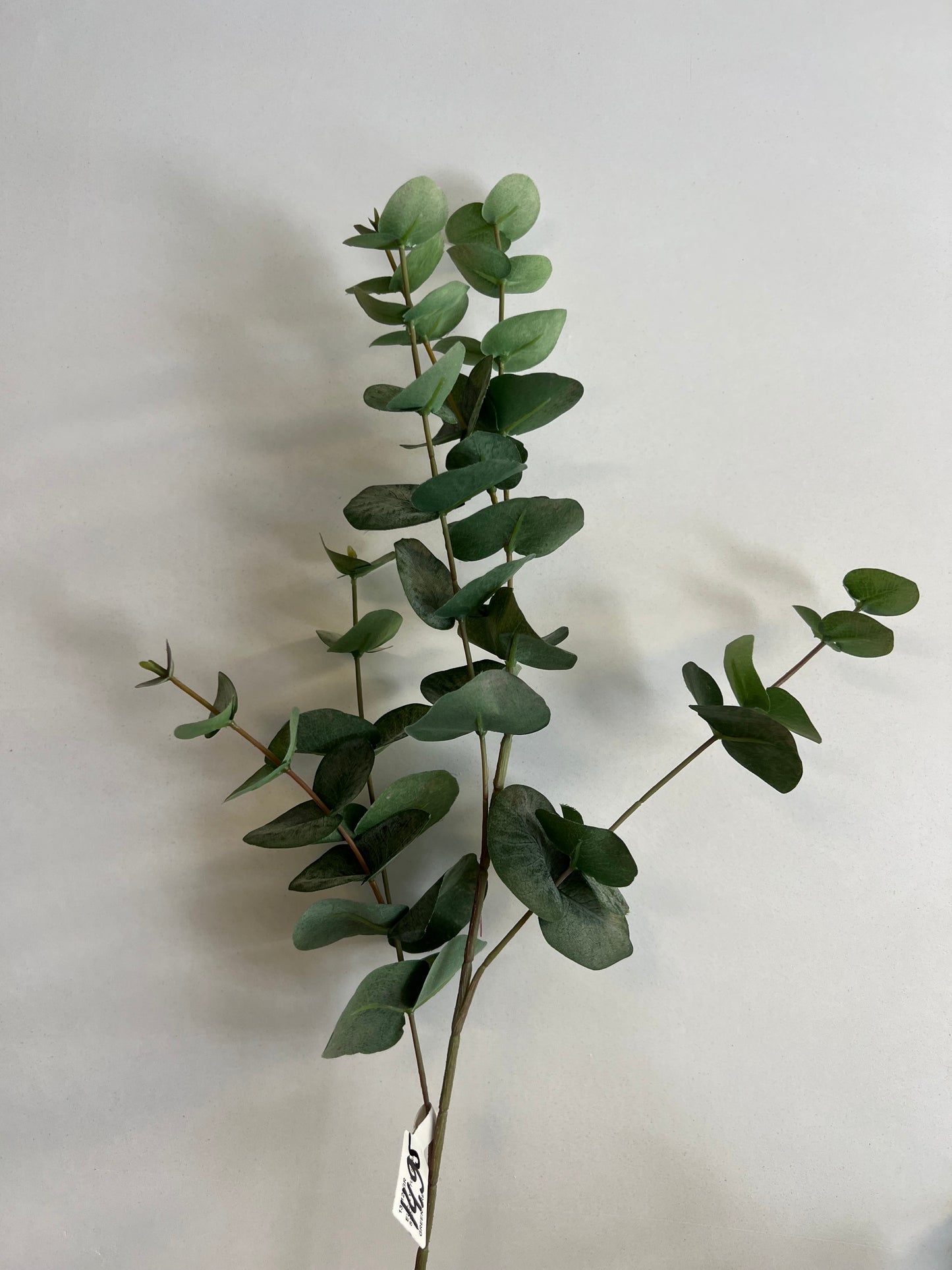 ZIJDEN | EUCALYPTUS | KLEIN