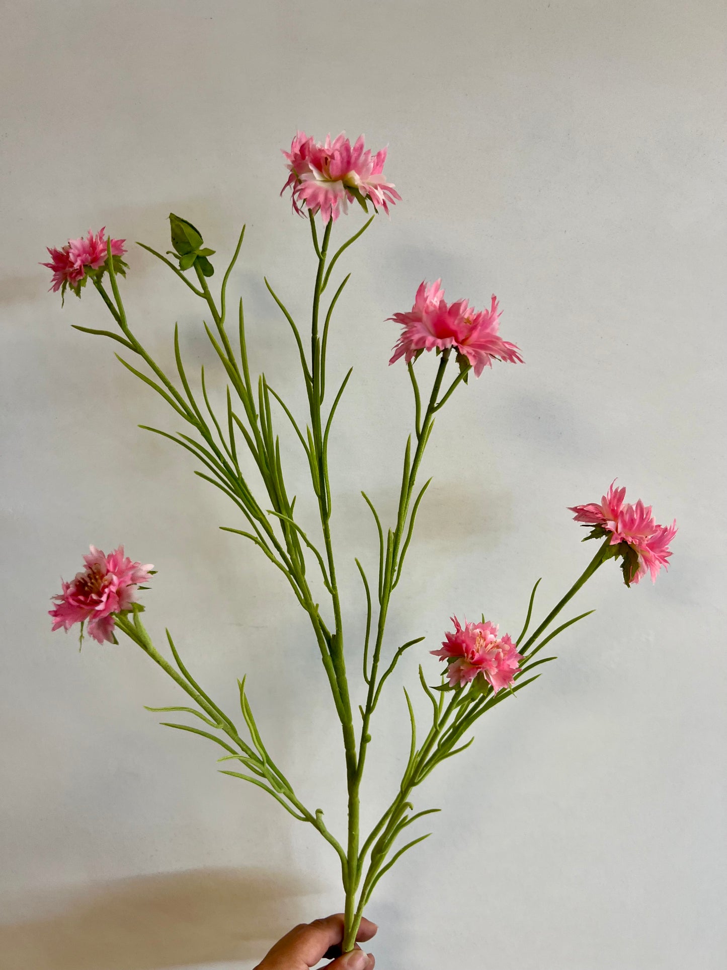 ZIJDEN | ROZE | KORENBLOEMEN
