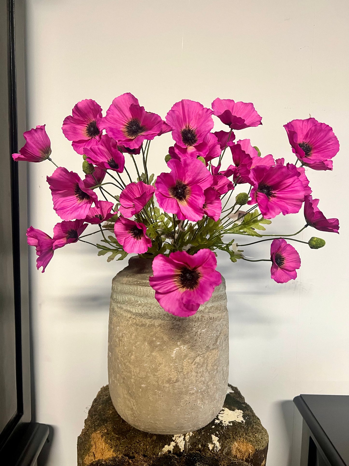 KLAPROOS | ROZE | PAARS
