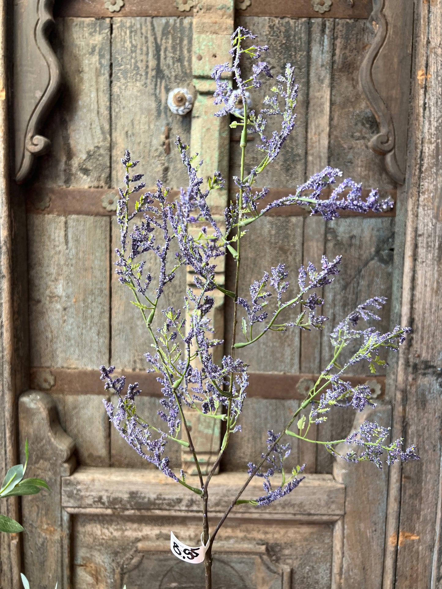 KUNST | LIMONIUM | PAARS