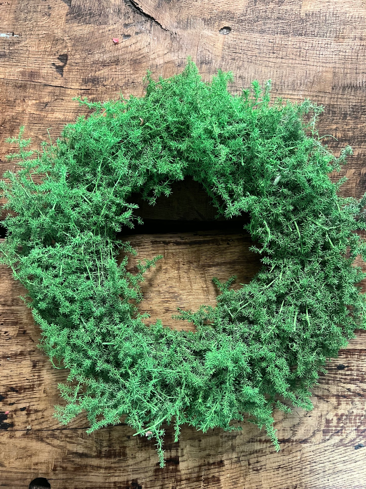 KRANS | ASPARAGUS | GROEN | 35 CM