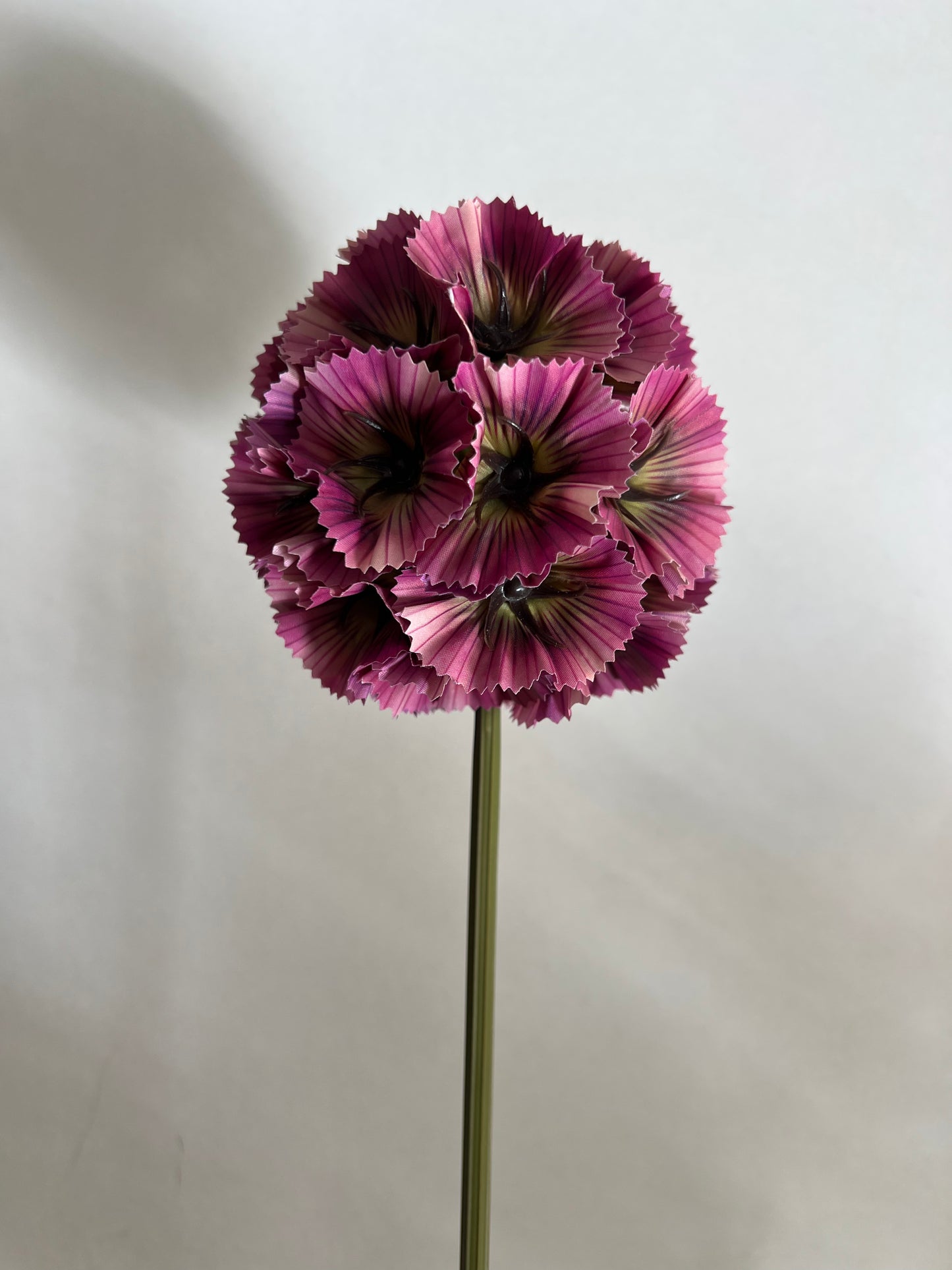 KUNST | SCABIOSA | ROZE | GROOT