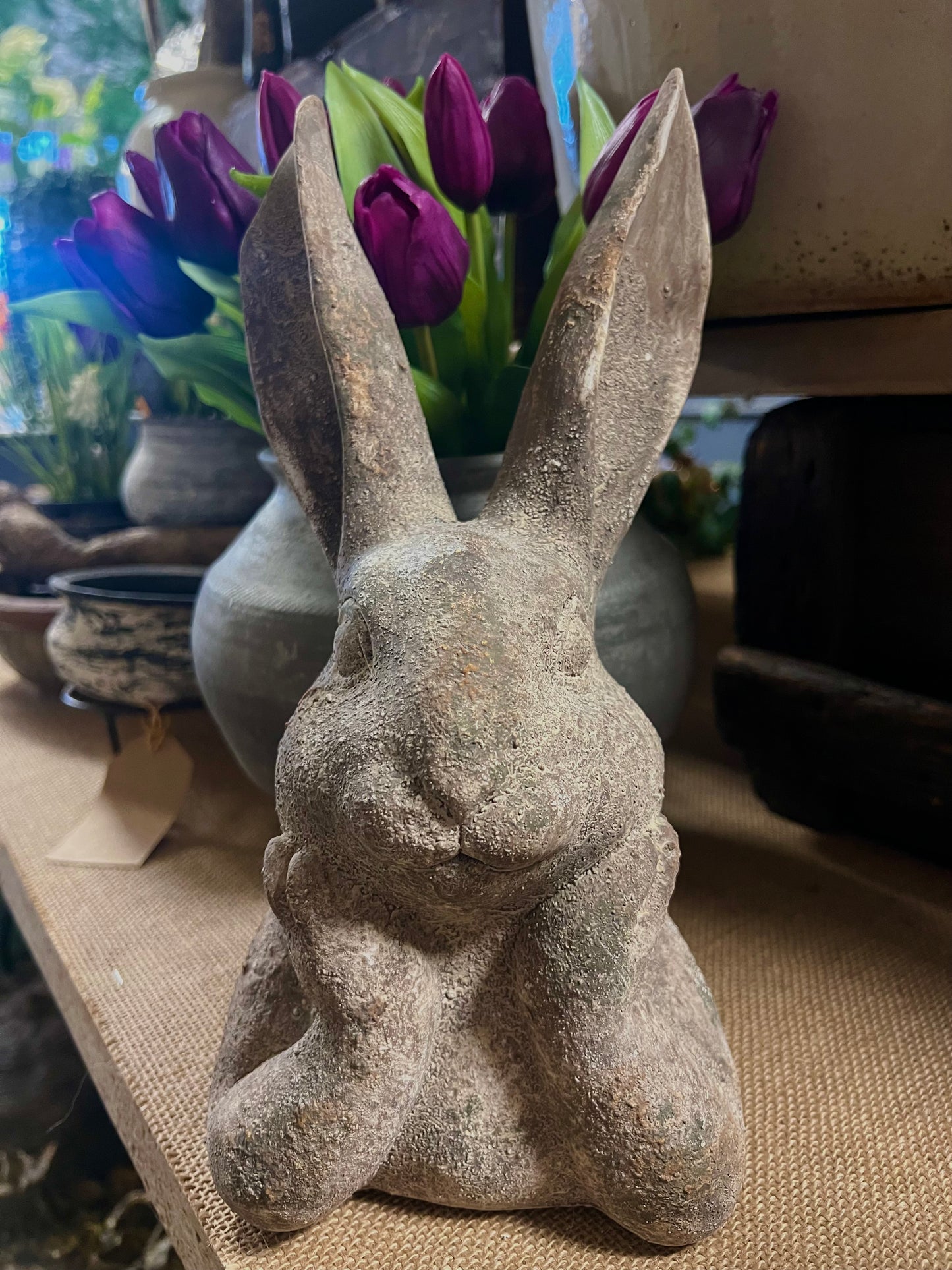 HAAS | STEEN | GROOT