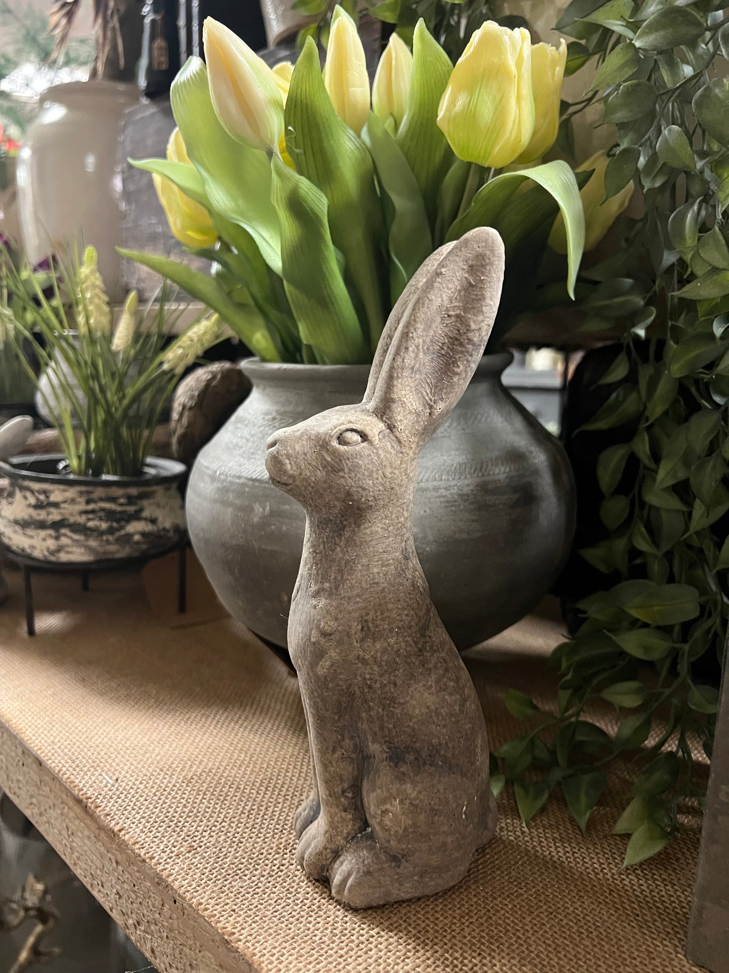 HAAS | STEEN | KLEIN | 2 | SOORTEN