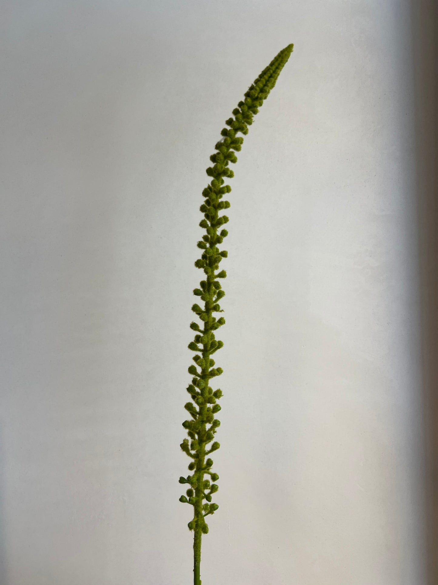 KUNST | DONKEY | TAIL | 86 CM