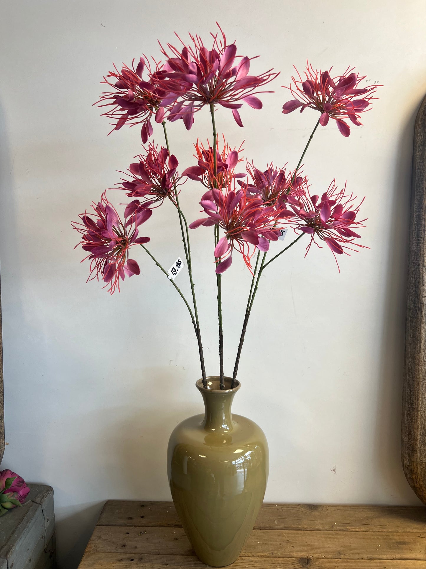 KUNST | SPIDERFLOWER | ROZE