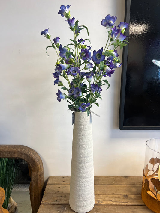 VAAS | NOHR | WIT | GROOT