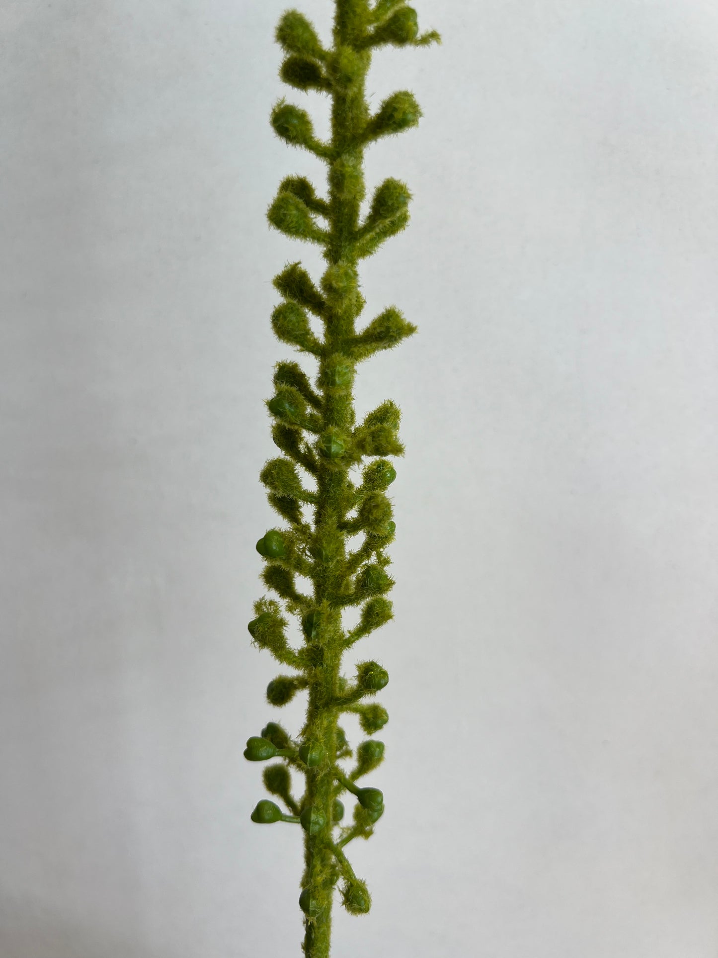 KUNST | DONKEY | TAIL | 86 CM