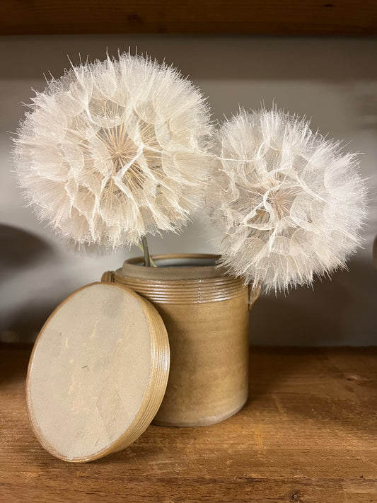 GRESPOT | BRUIN | MIDDEL | BROCANTE | NR | 5