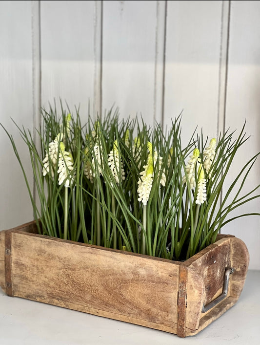 POTJE | WITTE | DRUIFJES