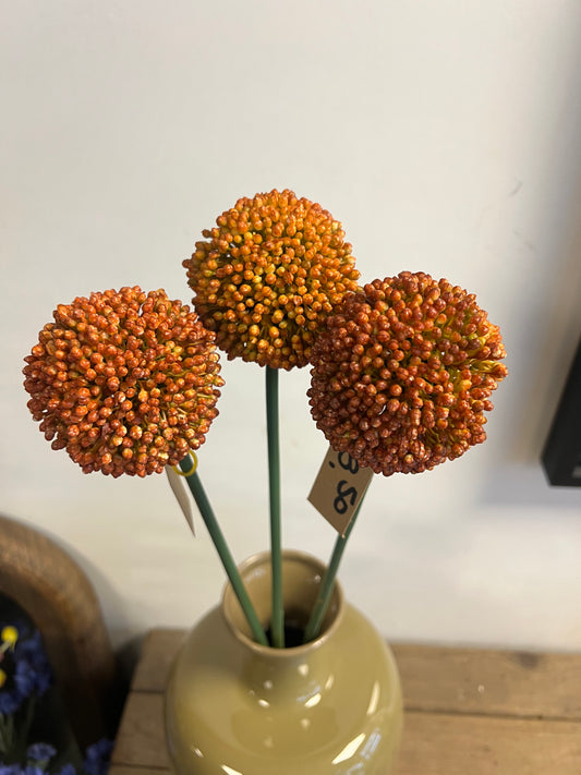 KUNST | ALLIUM | UIENBOL | ORANJE