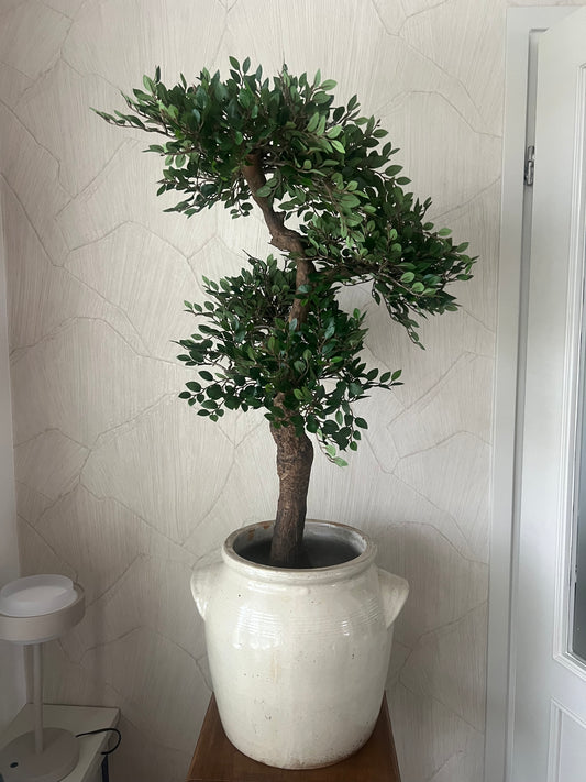 KUNST | BONSAI