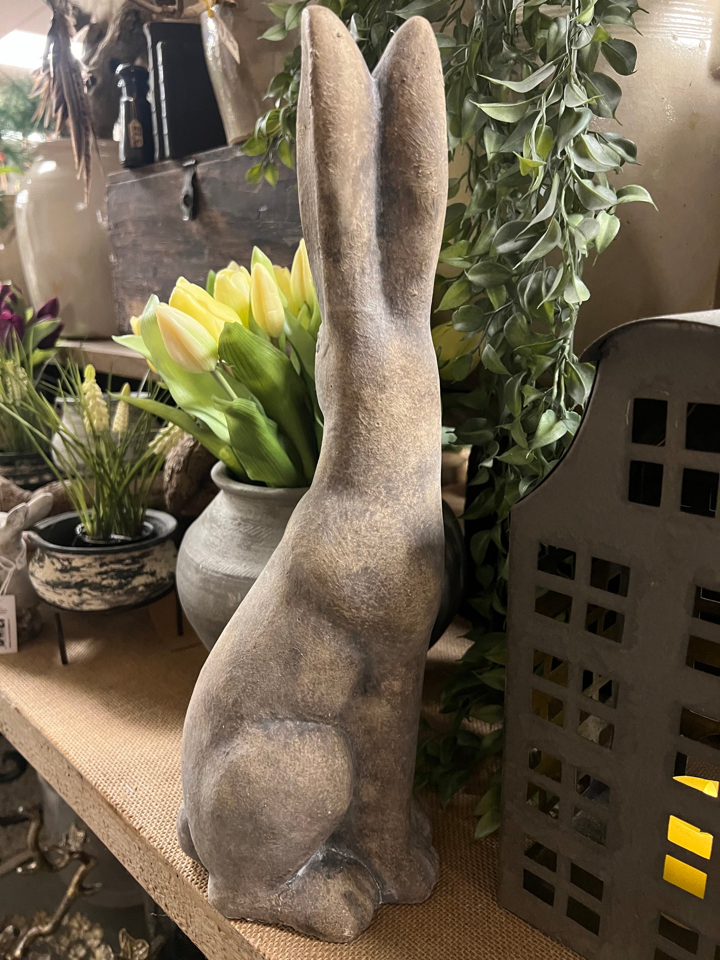 HAAS | STEEN | 2 | SOORTEN | GROOT