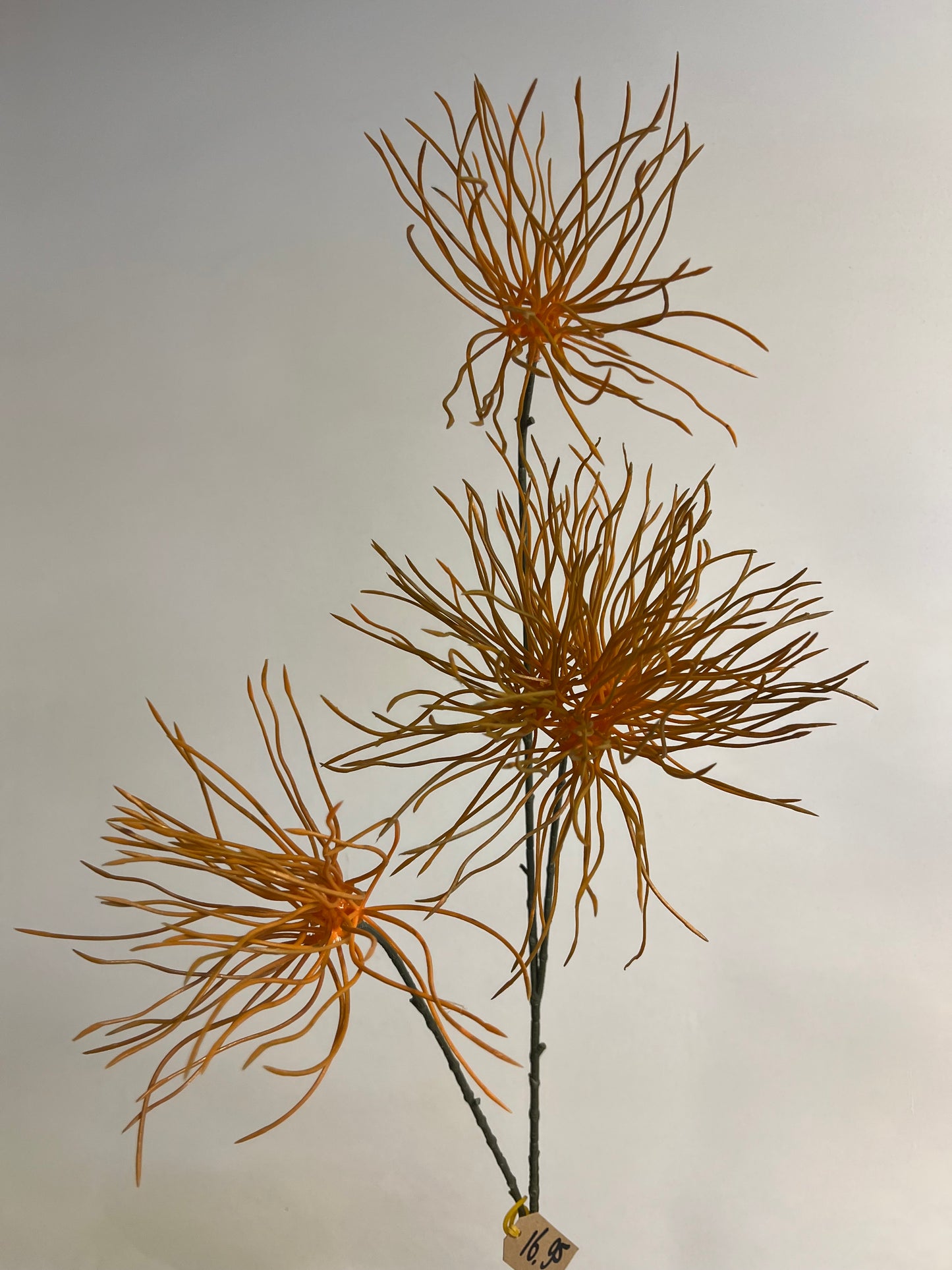 KUNST | GREVILLEA | ORANJE | TERRA