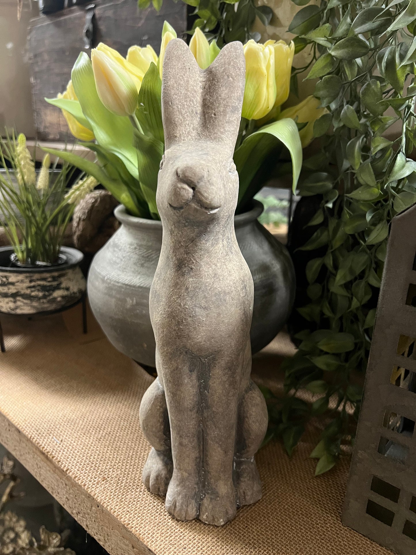 HAAS | STEEN | 2 | SOORTEN | MIDDEL