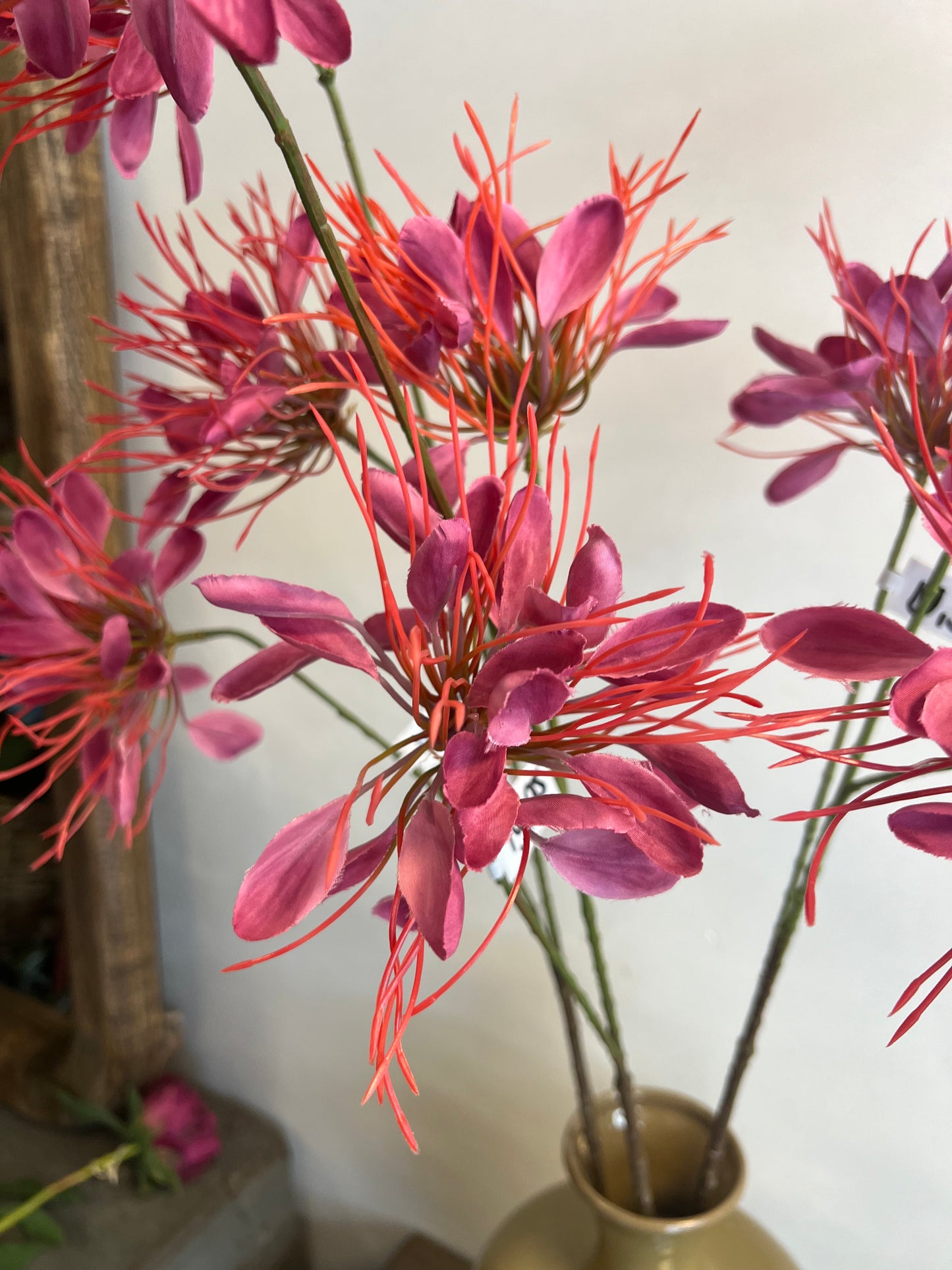 KUNST | SPIDERFLOWER | ROZE