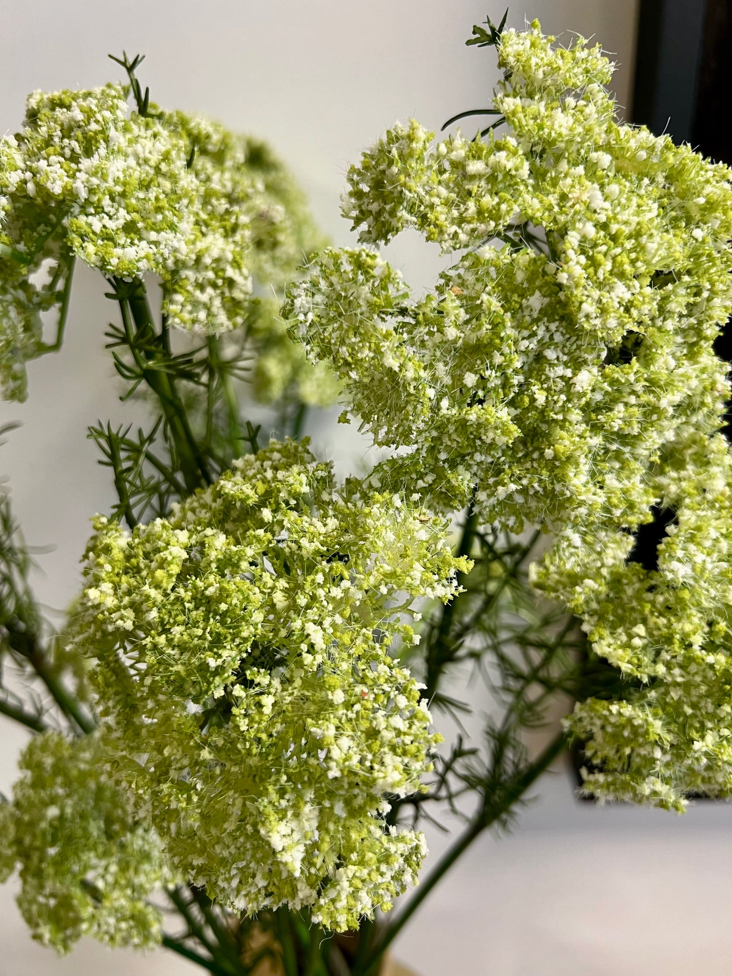 ZIJDEN | DILLE | GROEN | WIT