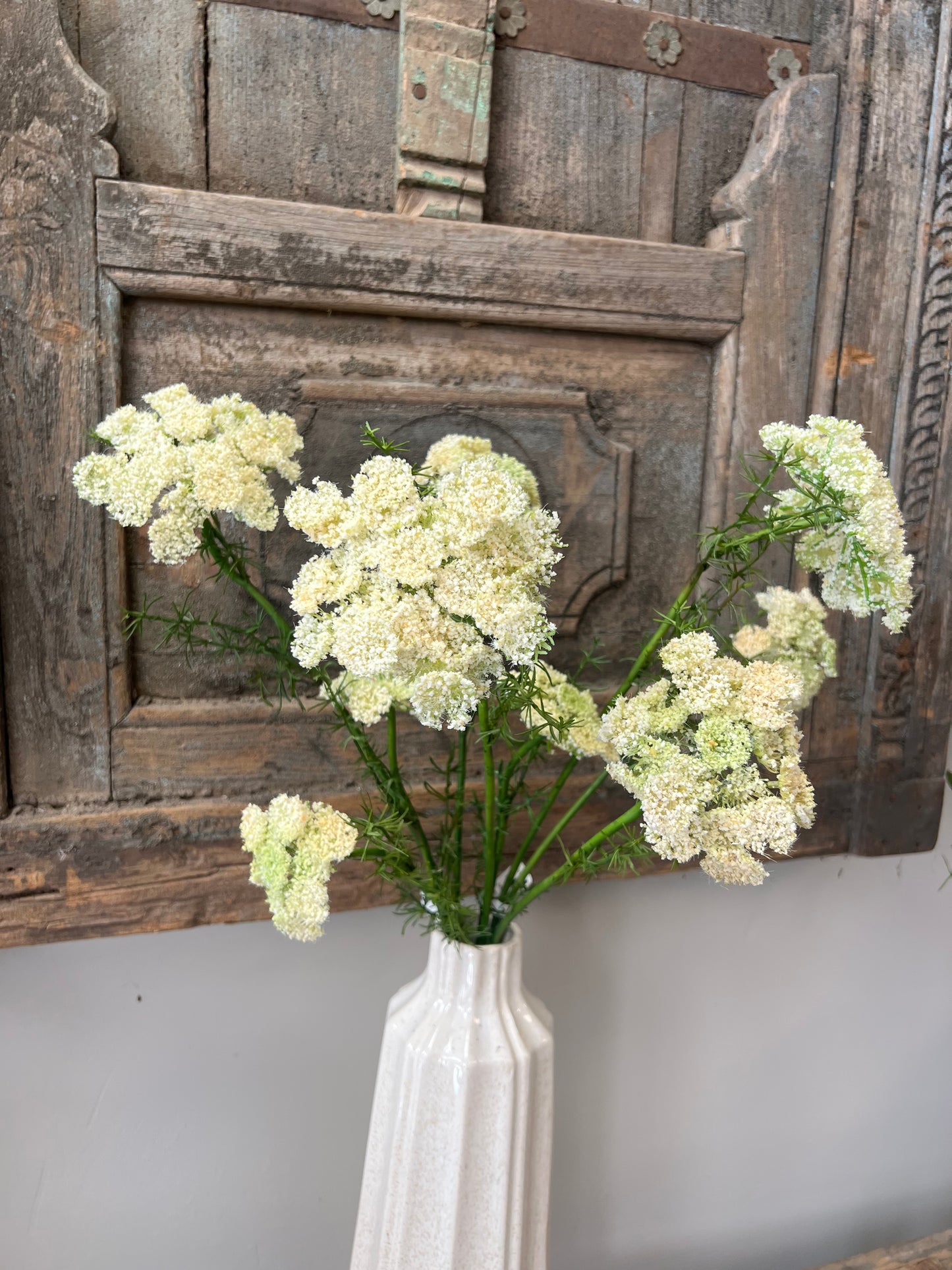 KUNST | QUEEN | ANNE’S | LACE