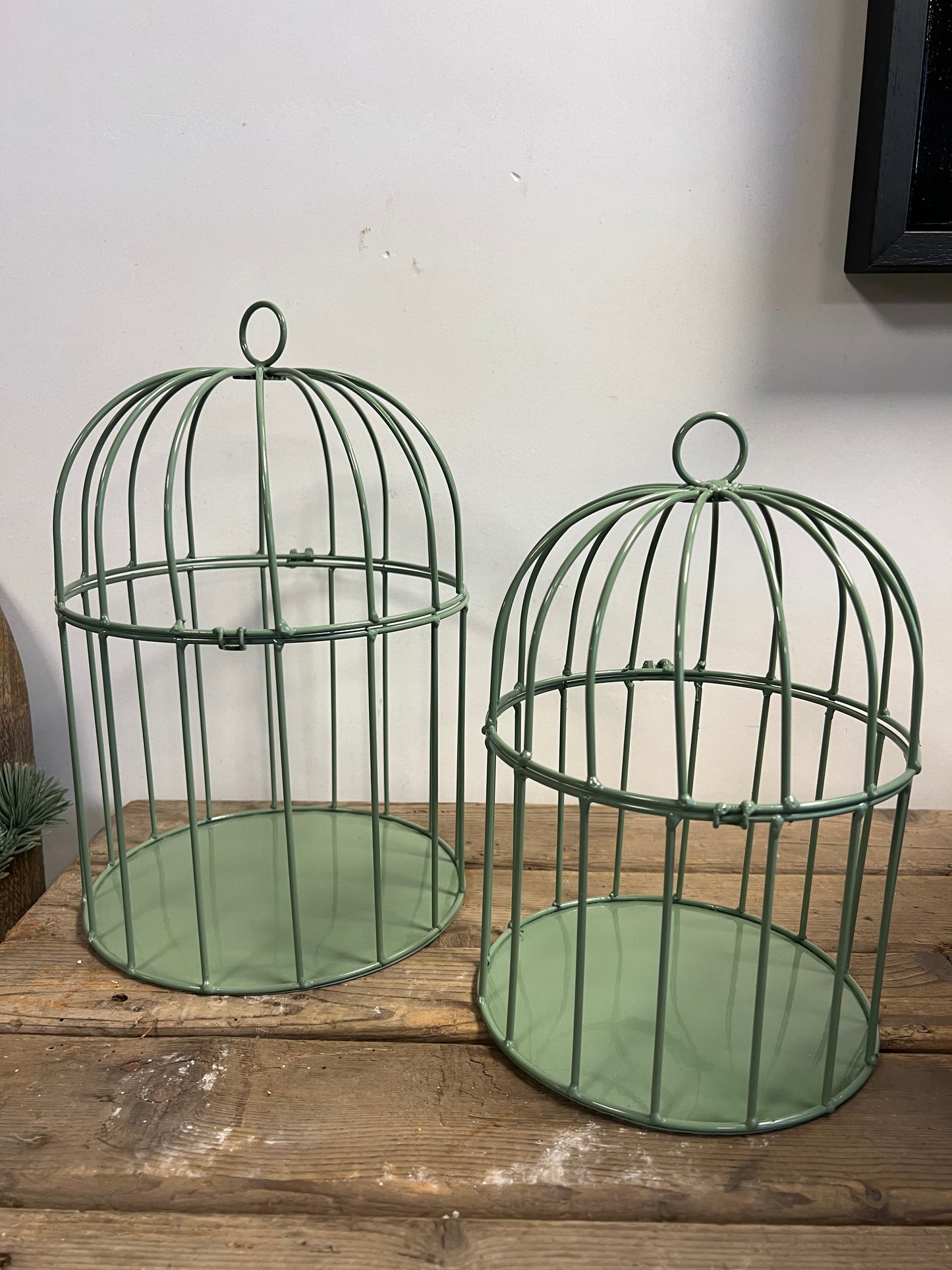 VOGELKOOI |  2 | MATEN | GROEN