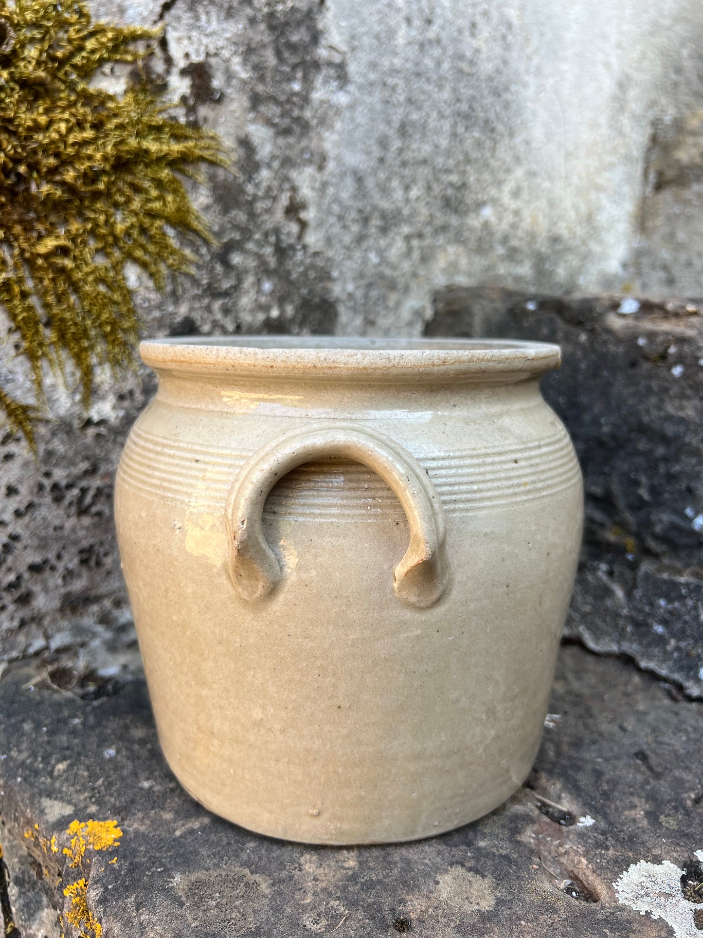 GRESPOT | KLEIN | BROCANTE | NR 85