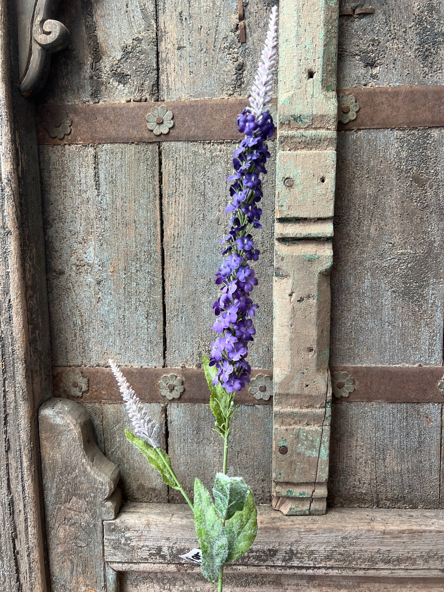 KUNST | DELPHINIUM | RIDDERSPOOR | PAARS