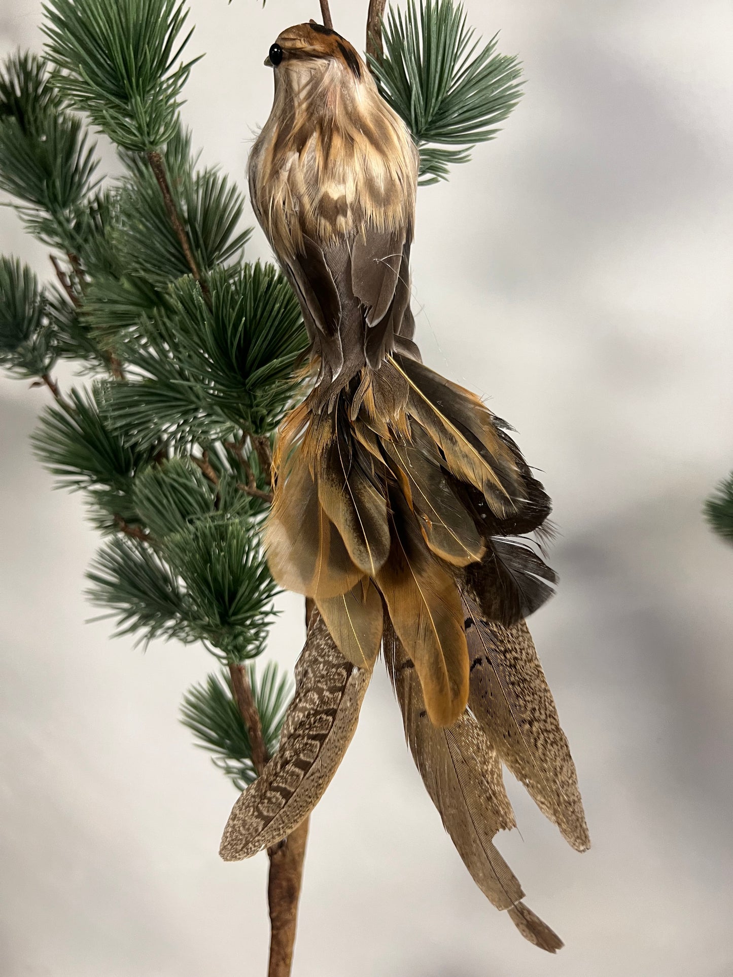 KUNST | VOGEL | MET | ECHTE | VEREN