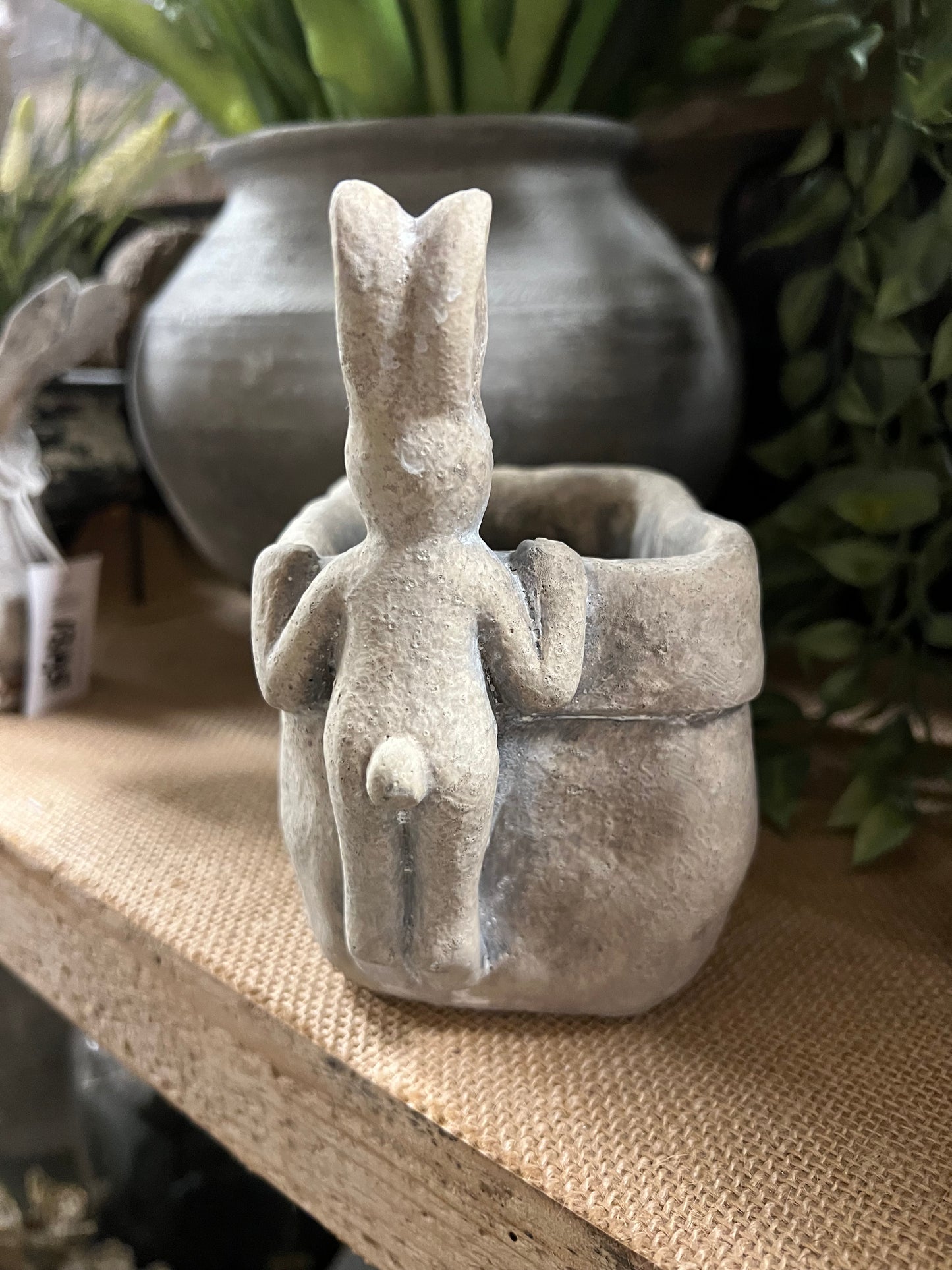 PLANTENPOT | HAAS | STEEN