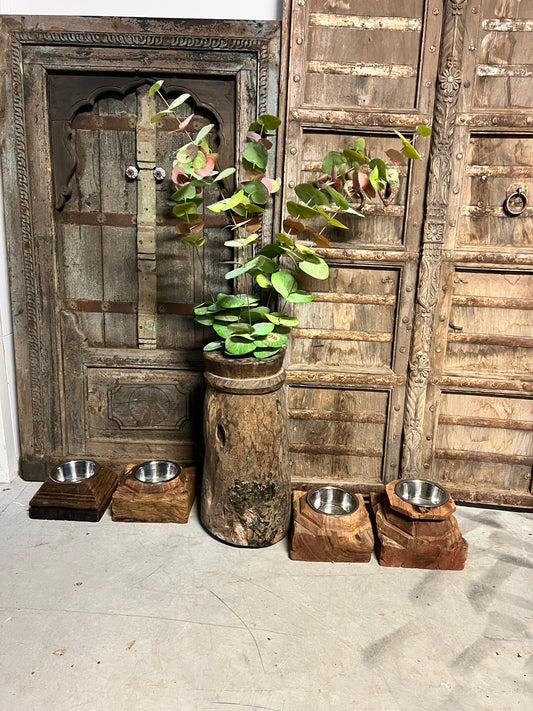 EUCALYPTUS | GROOT