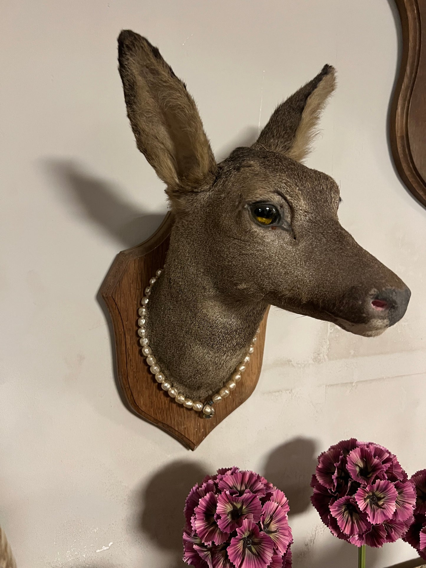 OUD | HERT | TAXIMERDIE | BROCANTE