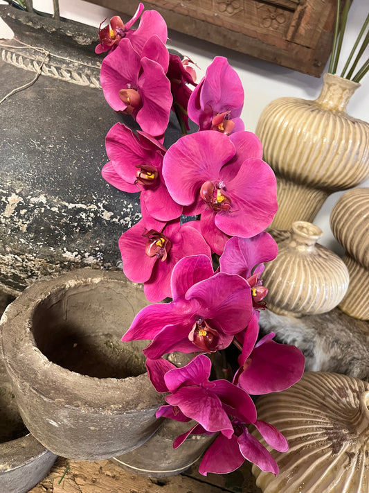 KUNST | ORCHIDEE | FUCCIA