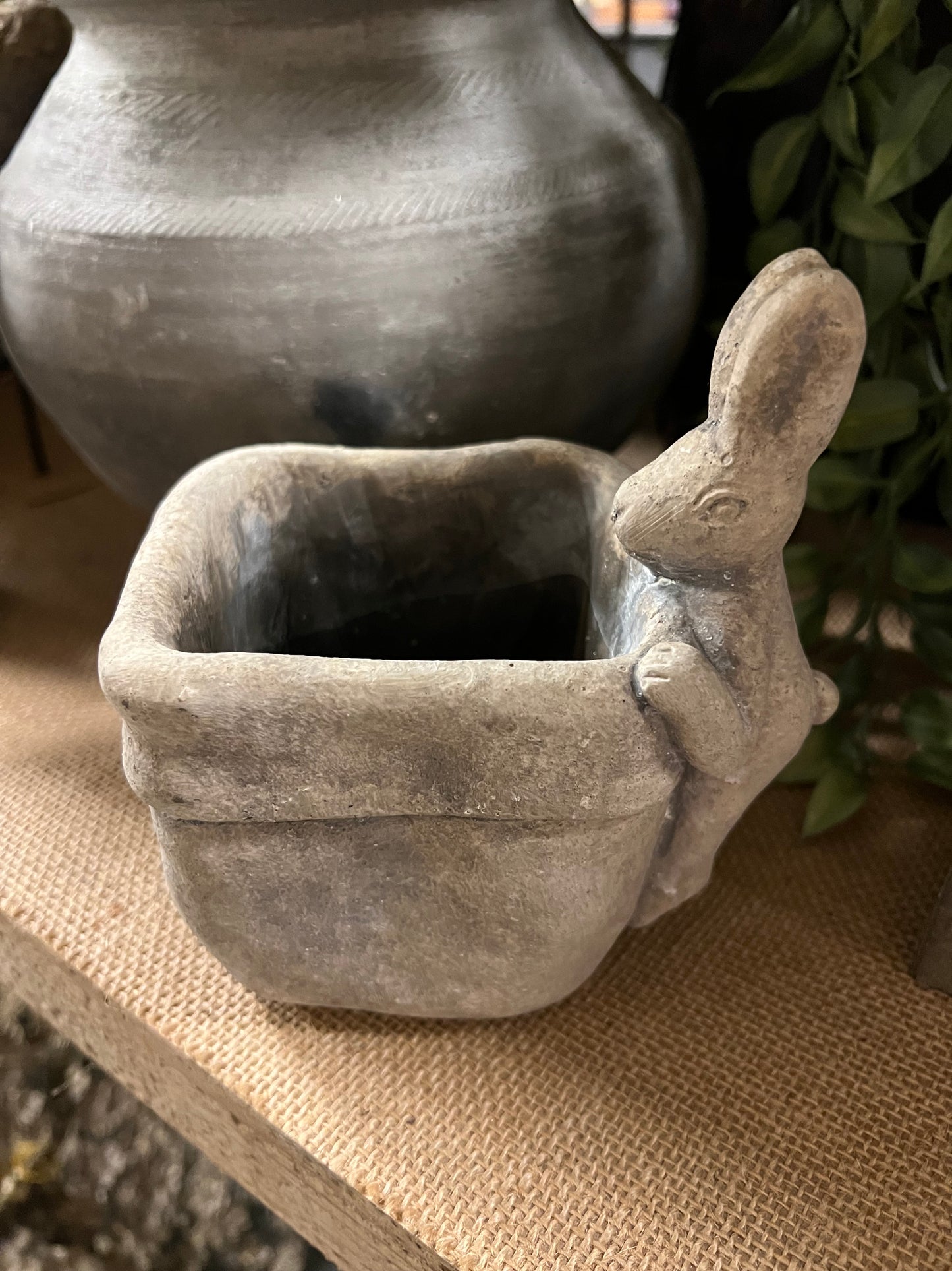 PLANTENPOT | HAAS | STEEN