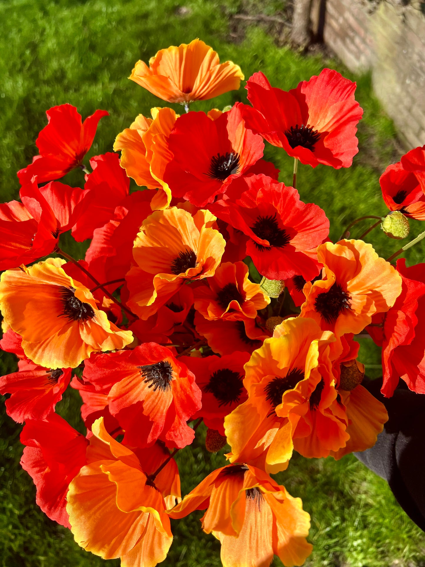 KLAPROOS | 2 | KLEUREN | ZIJDEN