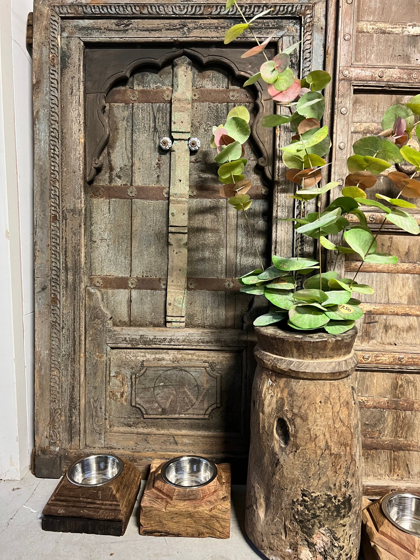 EUCALYPTUS | GROOT