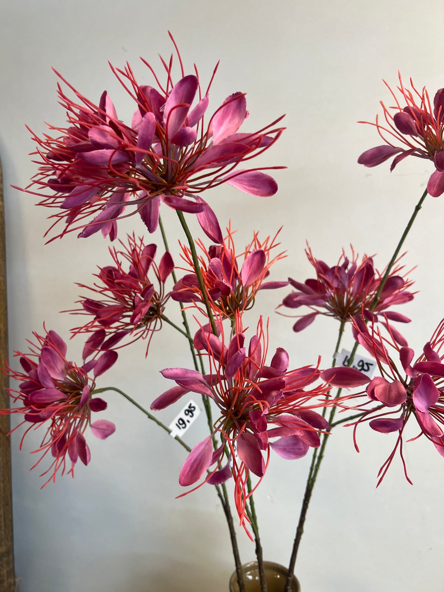 KUNST | SPIDERFLOWER | ROZE