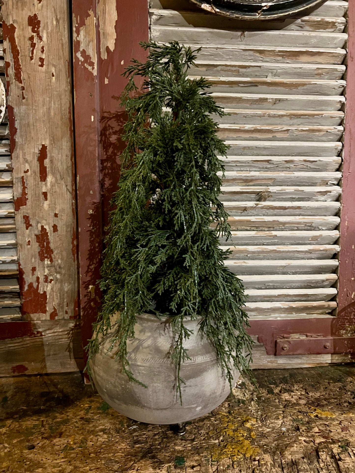 KUNST | BOOMPJE | INCL | POT | OP | STANDAARD