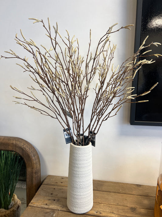 VAAS | NOHR | WIT | MIDDEL