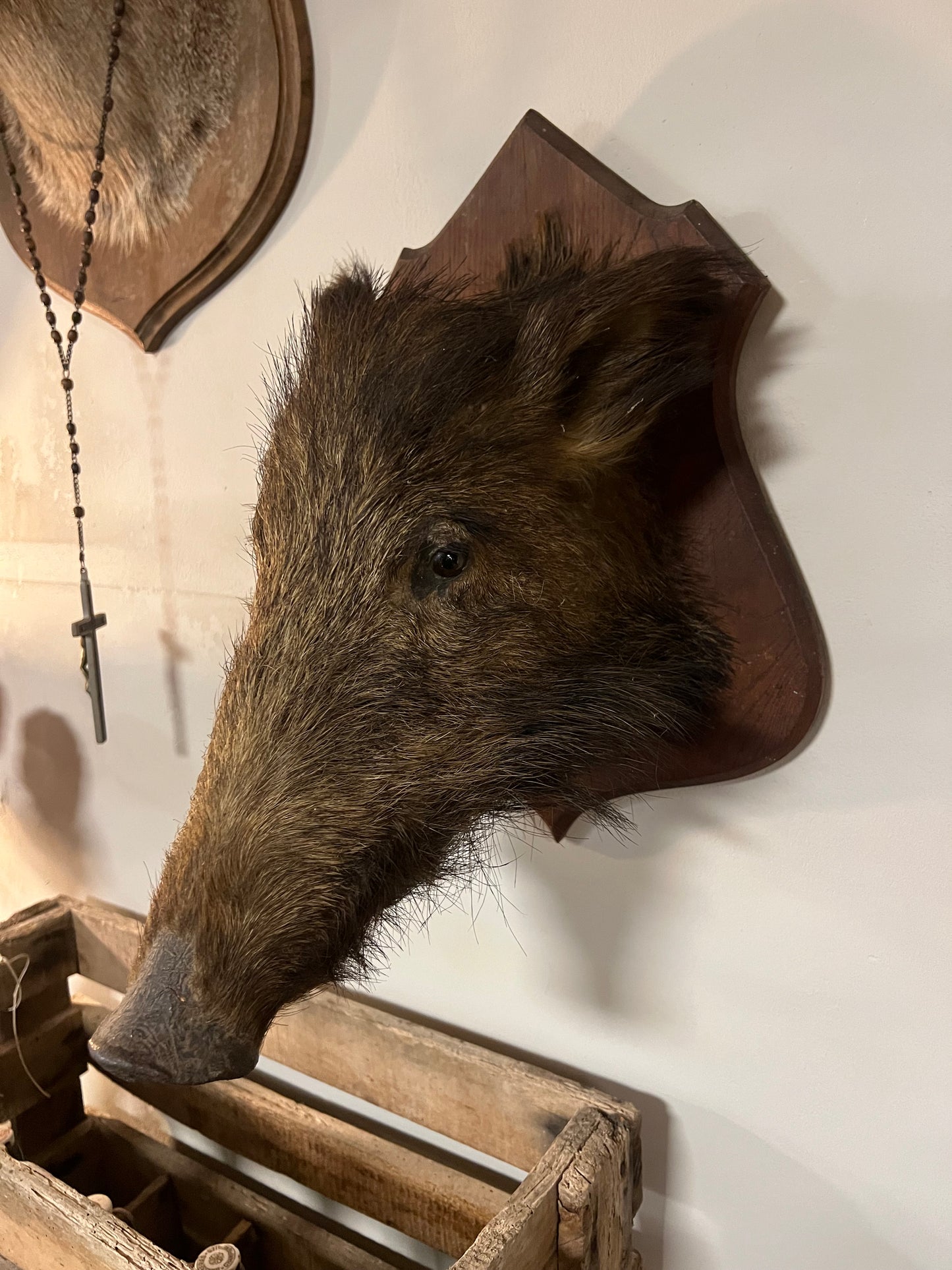 OUD | EVERZWIJN | BROCANTE | TAXIMERDIE