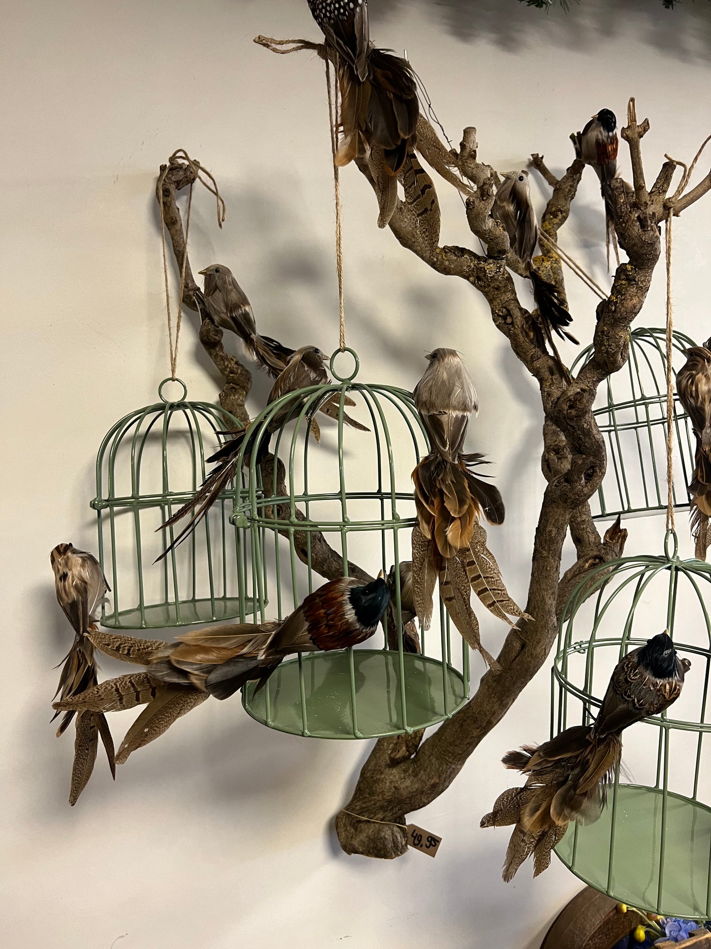 VOGELKOOI |  2 | MATEN | GROEN