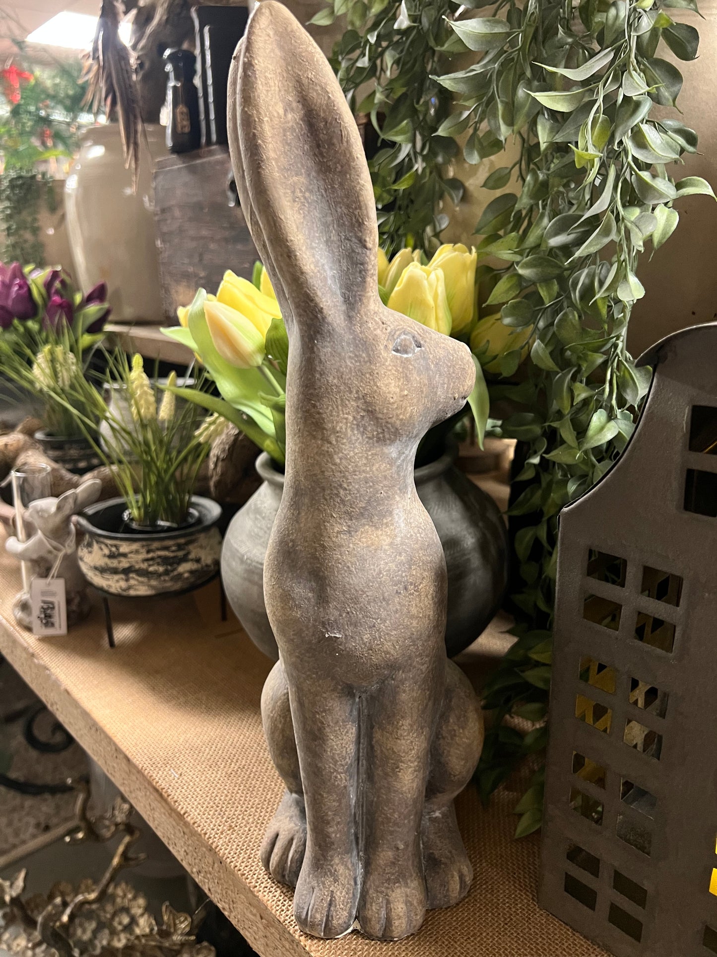 HAAS | STEEN | 2 | SOORTEN | GROOT